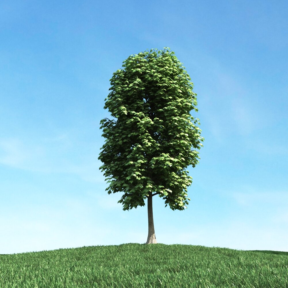 Solitary Tree 83 Modello 3D
