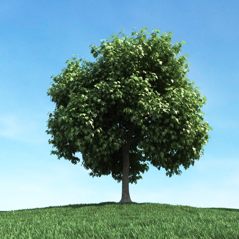 Solitary Tree 94 3D模型