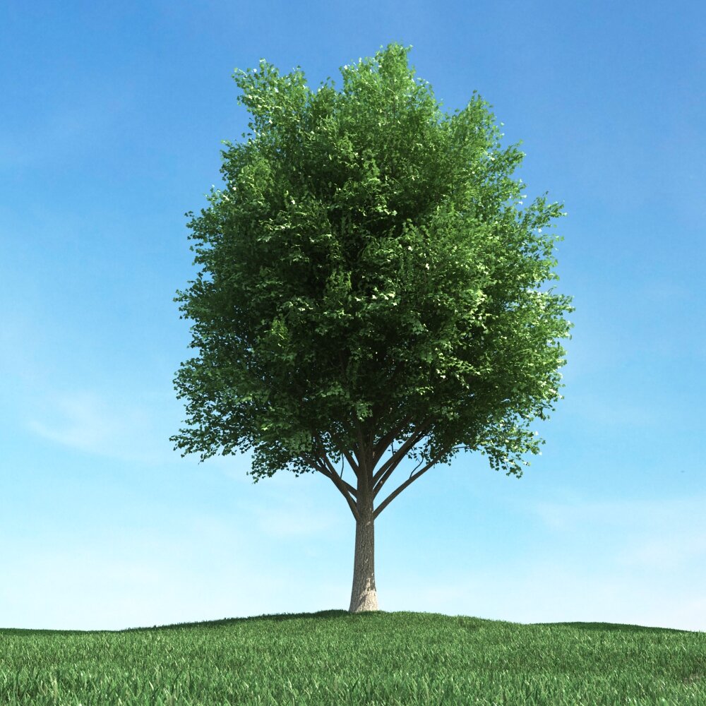 Solitary Tree 84 3Dモデル