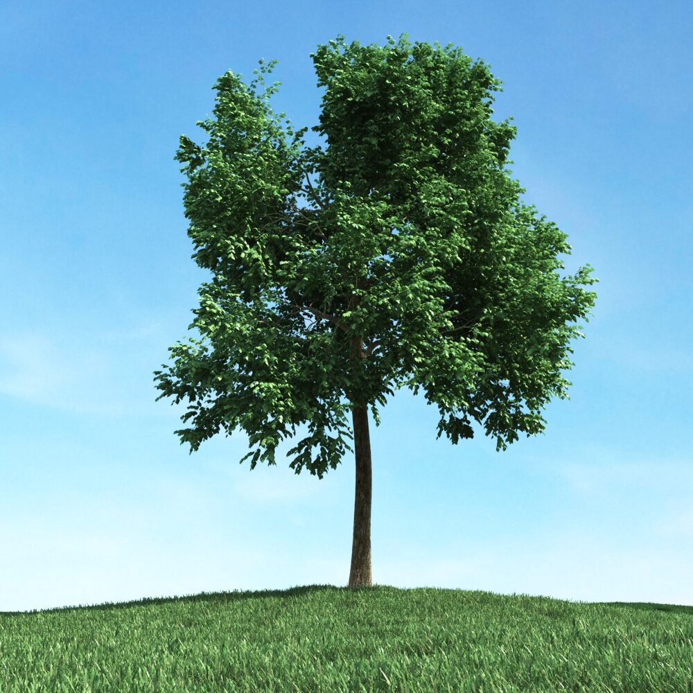 Solitary Tree 86 3Dモデル