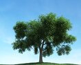 Solitary Tree 88 3Dモデル
