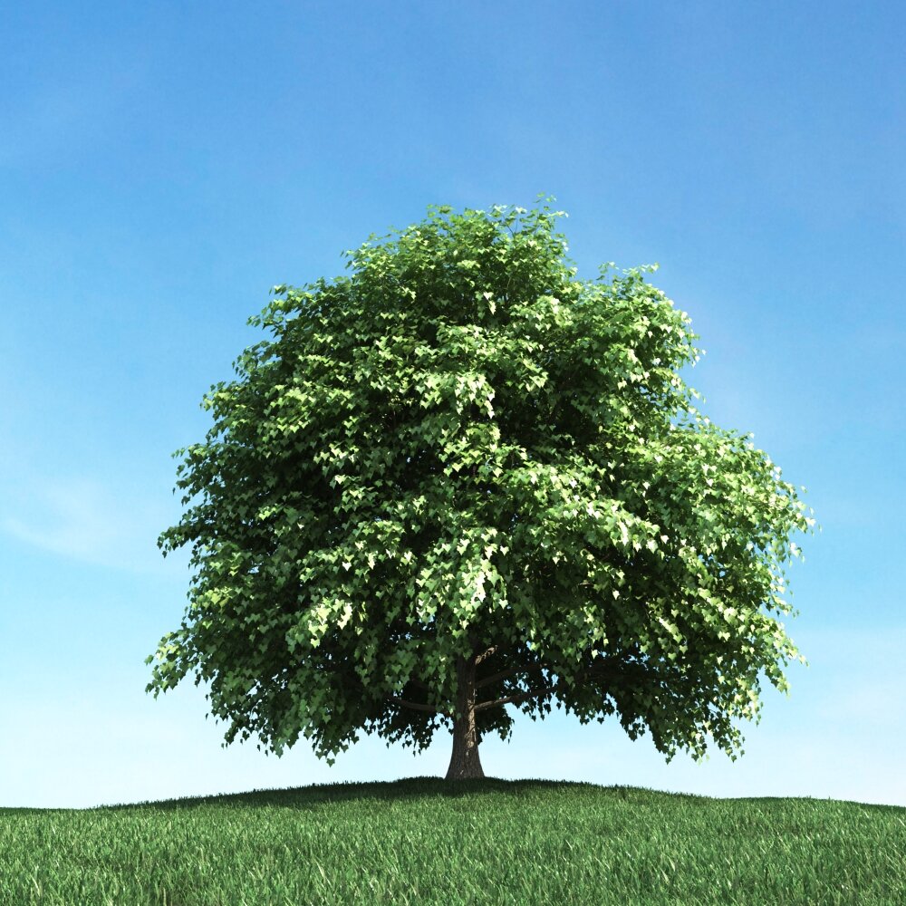 Solitary Tree 91 3D模型