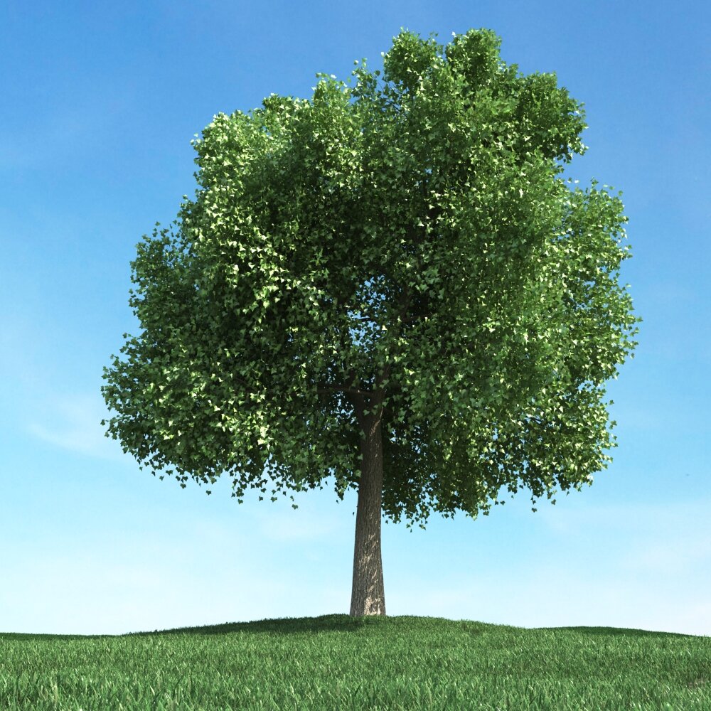 Solitary Tree 93 3D model