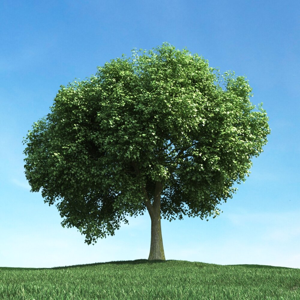 Solitary Tree 96 Modello 3D