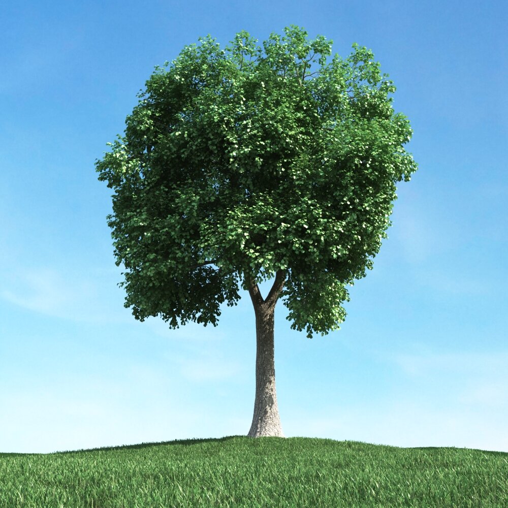 Solitary Tree 100 Modèle 3D