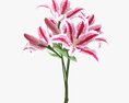 Lily Bouquet 3D-Modell