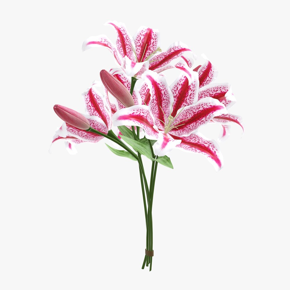 Lily Bouquet 3Dモデル