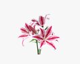 Lily Bouquet 3D-Modell
