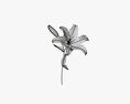Lily Flower 3d model