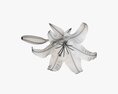 Lily Flower 3D 모델 