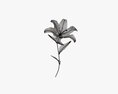 Lily Flower 02 Modèle 3d