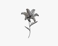 Lily Flower 02 Modèle 3d
