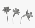 Narcissus Flower Plant Single Purple 3Dモデル
