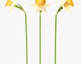 Narcissus Flower Plant Single Yellow 3D-Modell