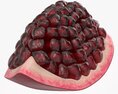 Ripe Pomegranate Slice 3d model