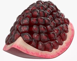 Ripe Pomegranate Slice 3D model