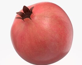 Ripe Pomegranate Whole 3D-Modell