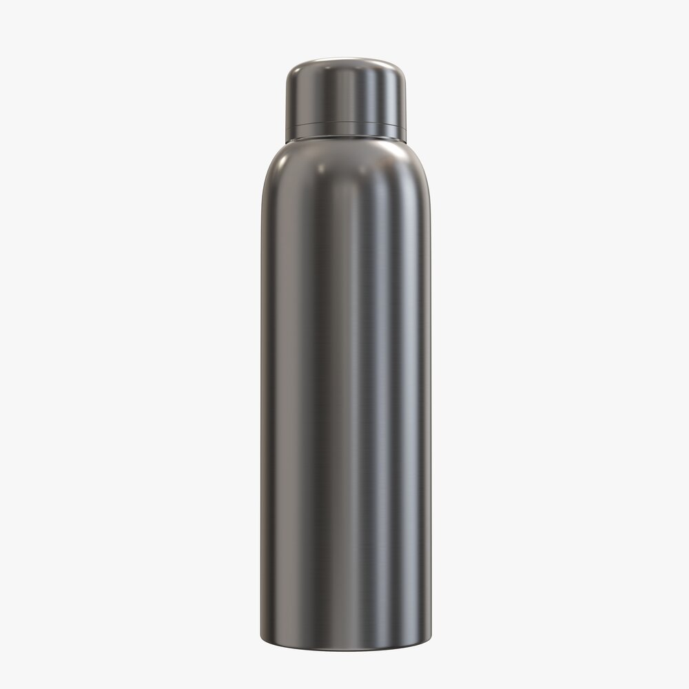 Thermos Vacuum Bottle Flask 06 Modello 3D