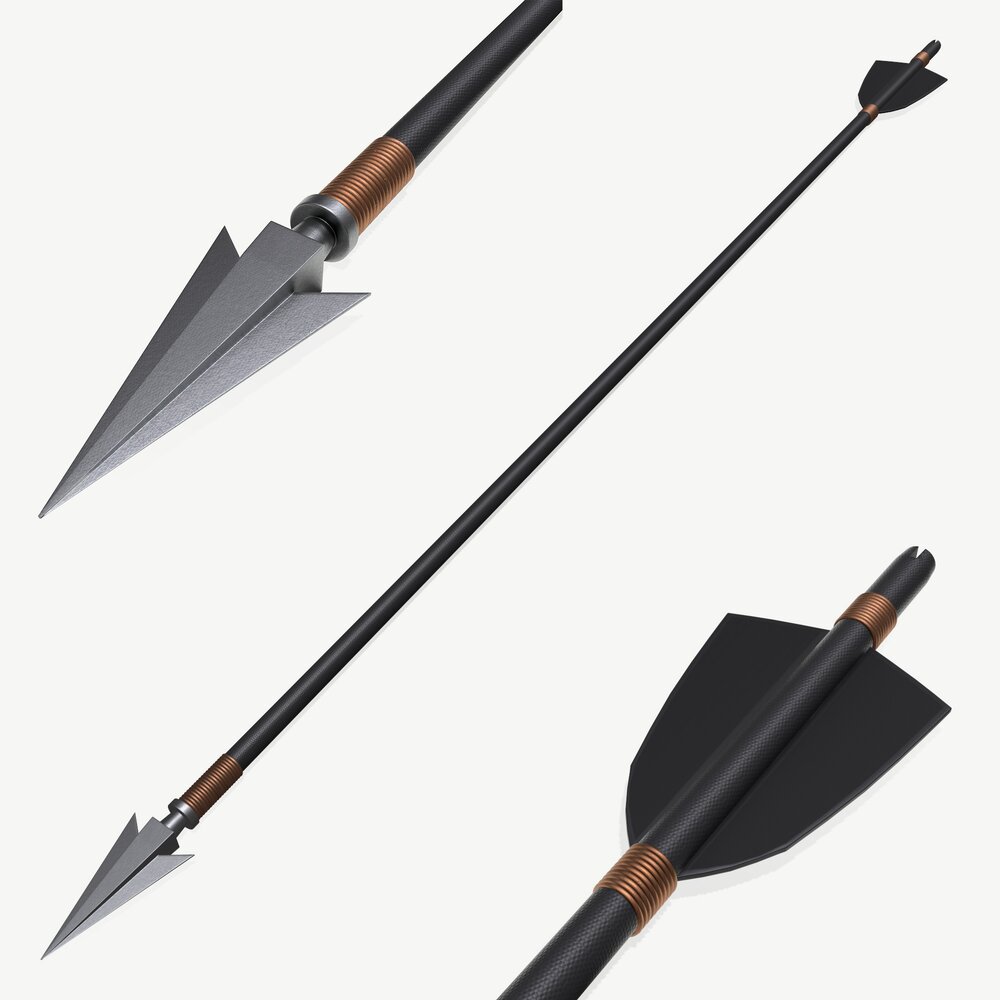 Arrow with Metal End 3D model