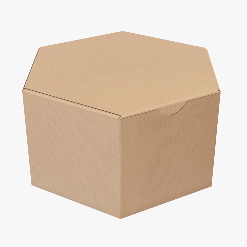 Hexagonal Paper Box Packaging Closed 01 Corrugated Cardboard 3D-Modell