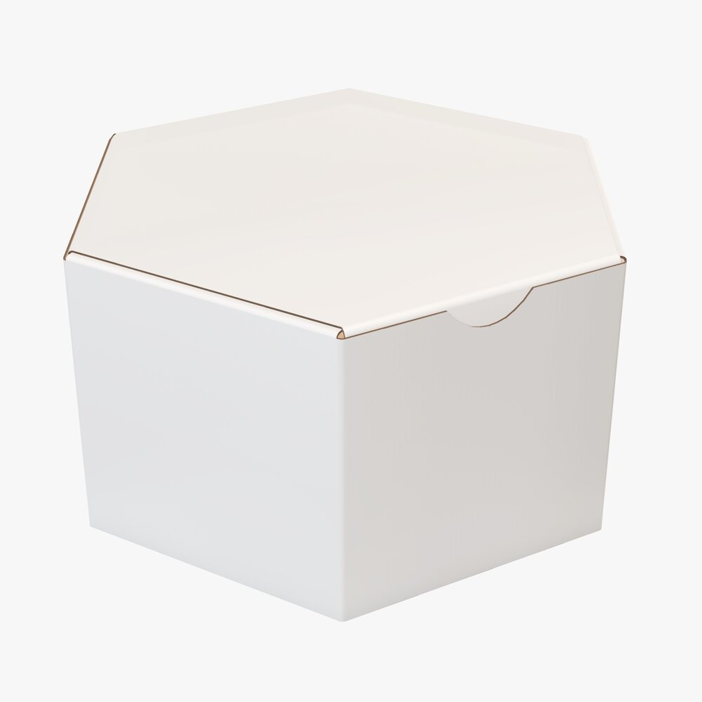 Hexagonal Paper Box Packaging Closed 01 Corrugated Cardboard White Modelo 3d