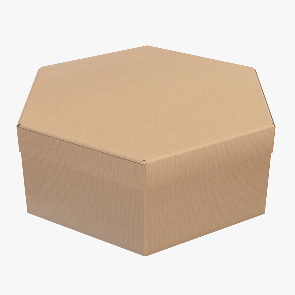 Hexagonal Paper Box Packaging Closed 02 Corrugated Cardboard 3D model