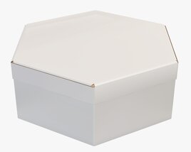 Hexagonal Paper Box Packaging Closed 02 Corrugated Cardboard White 3D model