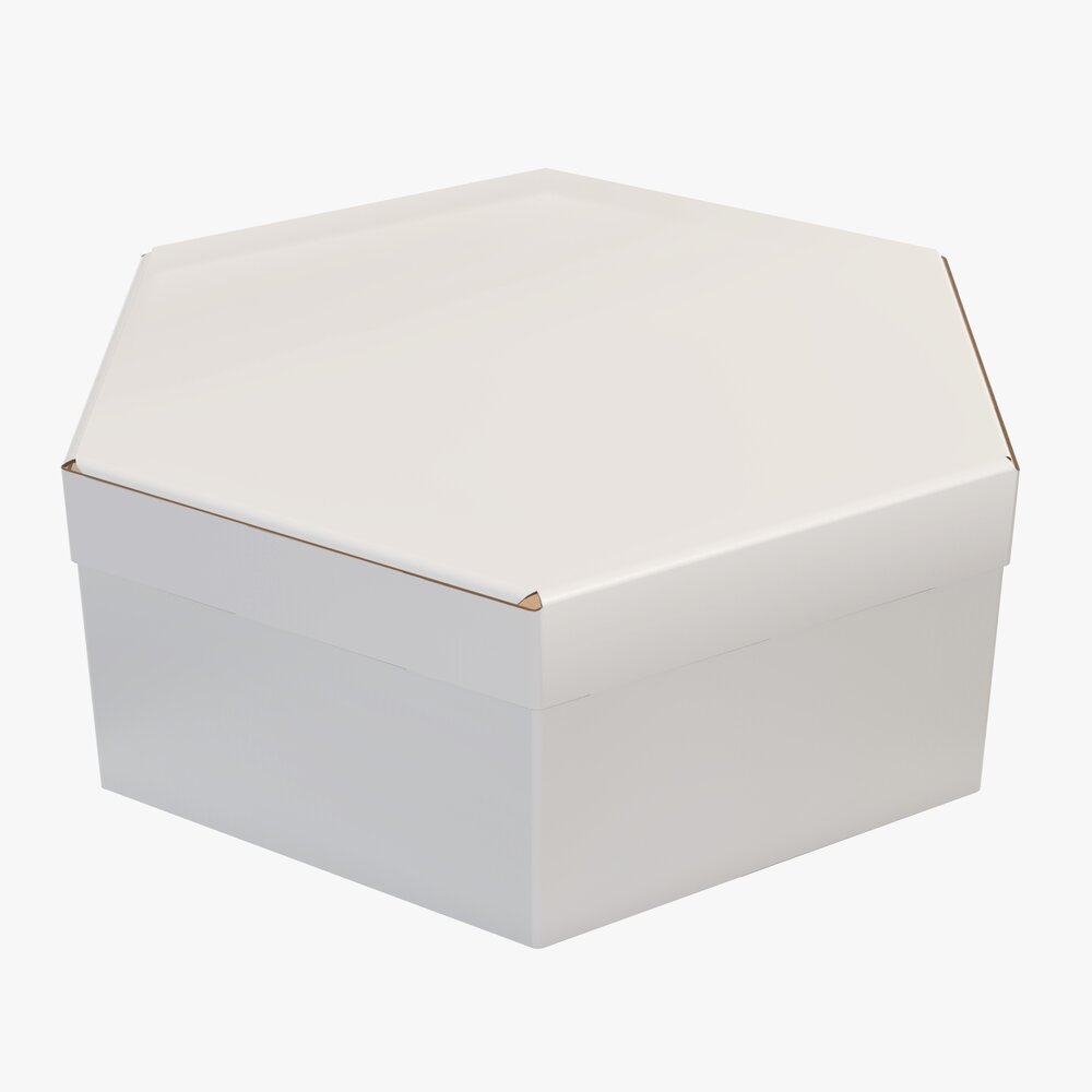 Hexagonal Paper Box Packaging Closed 02 Corrugated Cardboard White Modelo 3d