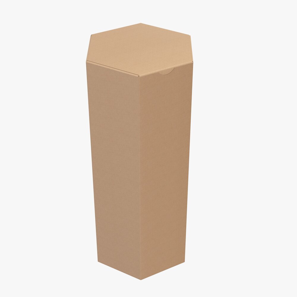 Hexagonal Paper Box Packaging Closed 03 Corrugated Cardboard Modelo 3D