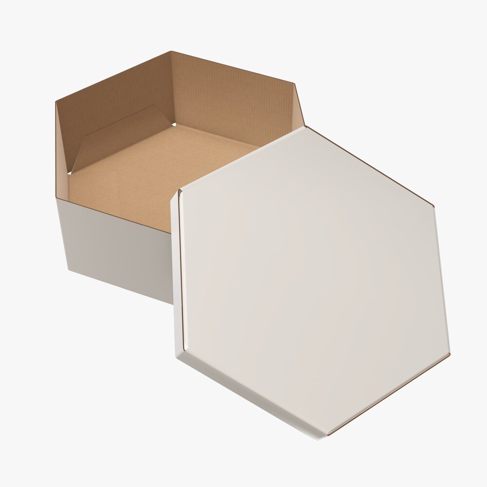 Hexagonal Paper Box Packaging Open 02 Corrugated Cardboard White 3D 모델 