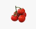 Tomato Branch 01 Modello 3D