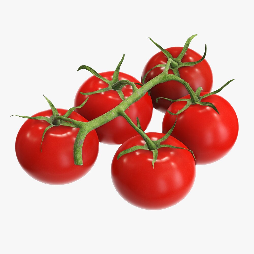 Tomato Branch 02 3D model