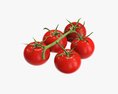 Tomato Branch 02 Modello 3D
