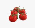 Tomato Branch 02 3D модель