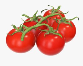 Tomato Cherry Red Small Branch 01 3D 모델 