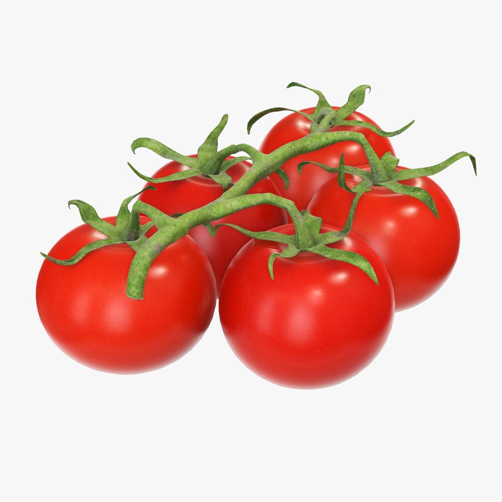 Tomato Cherry Red Small Branch 01 3D модель
