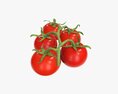 Tomato Cherry Red Small Branch 01 3d model