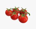 Tomato Cherry Red Small Branch 01 3D-Modell
