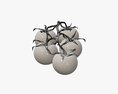 Tomato Cherry Red Small Branch 01 3d model