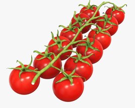 Tomato Cherry Red Small Branch 02 3D model