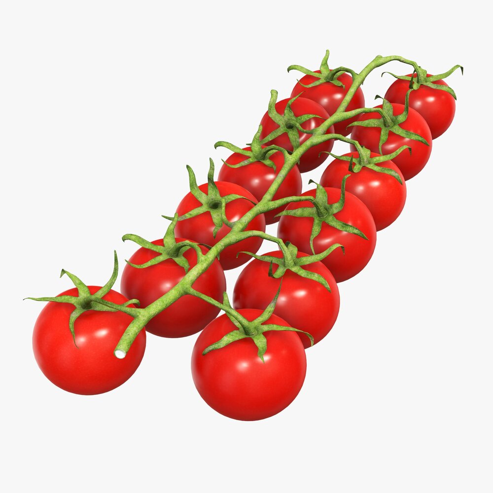 Tomato Cherry Red Small Branch 02 3D model