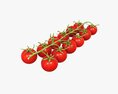 Tomato Cherry Red Small Branch 02 3D модель