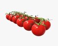 Tomato Cherry Red Small Branch 02 3d model