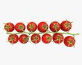 Tomato Cherry Red Small Branch 02 3D-Modell