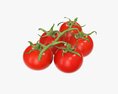 Tomato Cherry Red Small Branch 02 3d model