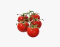 Tomato Cherry Red Small Branch 02 3D 모델 