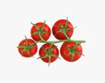 Tomato Cherry Red Small Branch 02 Modèle 3d