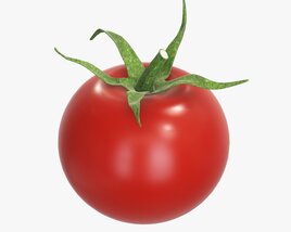 Tomato Cherry Red Small Single With Pedicel Sepal 3D模型