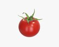 Tomato Cherry Red Small Single With Pedicel Sepal 3Dモデル