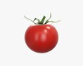 Tomato Cherry Red Small Single With Pedicel Sepal 3D модель